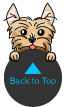 Back to top