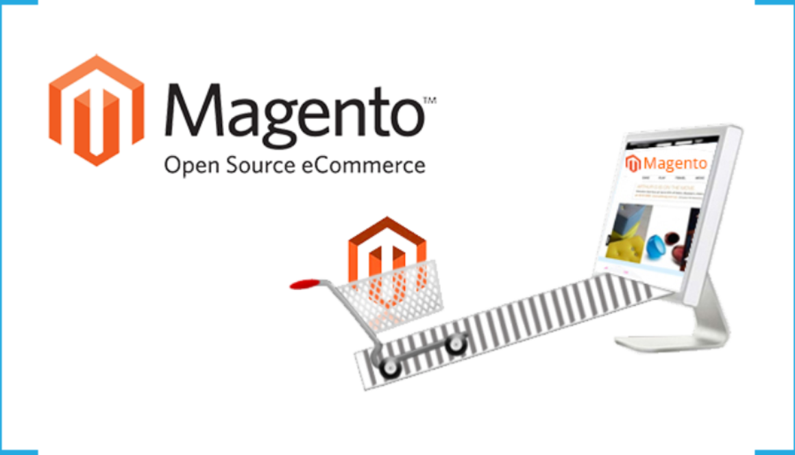 5 Fundamental Parts of Setting up an Online Business Site with Magento
