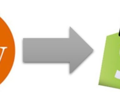 How Makers used Shopify and Etsy for business growth?