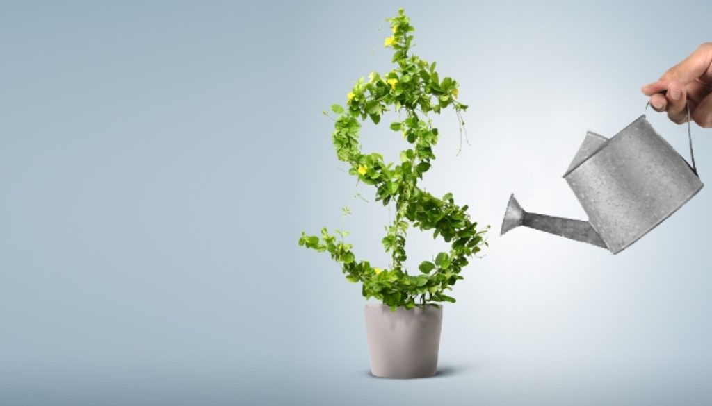 Ways to focus on the growth of the small business or online marketing