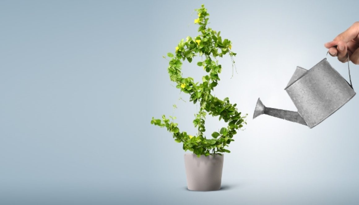 Ways to focus on the growth of the small business or online marketing