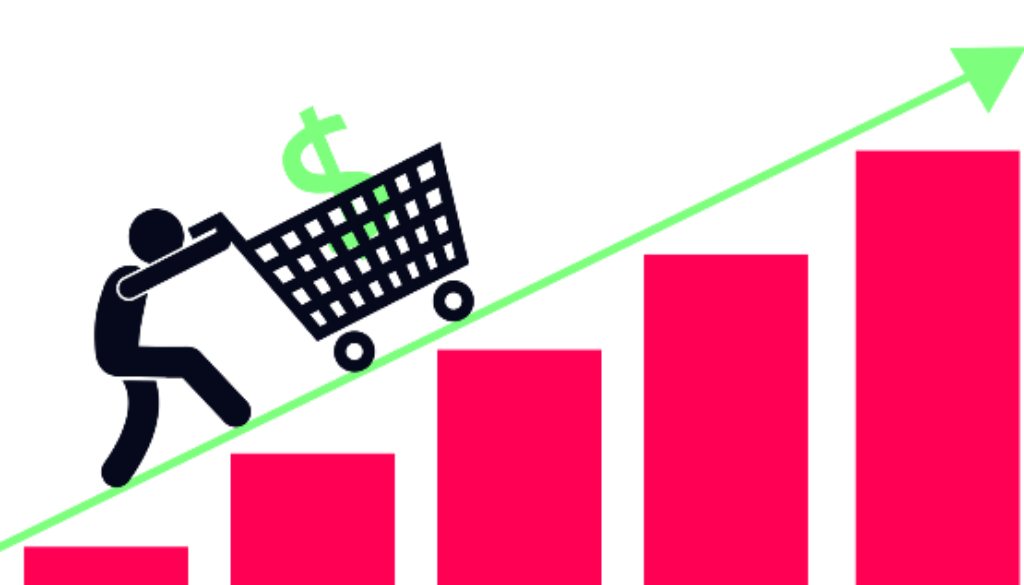 Get the perfect revenue for your e-commerce company