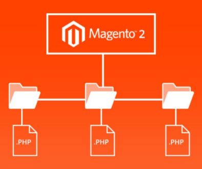 Magento Trends to Pedal to the Metal