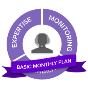Basic Monthly Magento Managed Support
