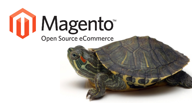 magento-turtle