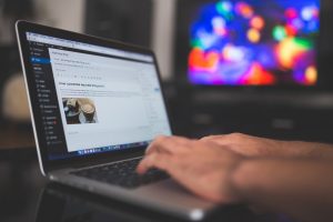 For a Robust E-Commerce Store, Elsner's Essential WordPress and WooCommerce Plug-in is in the market