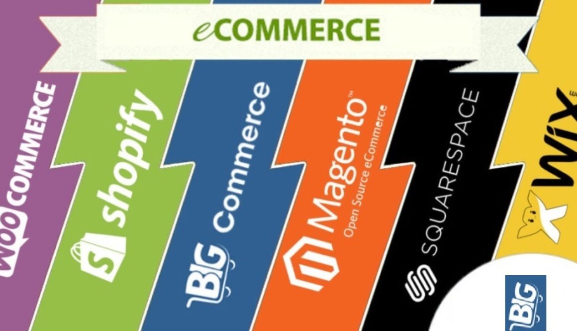 Software Market of E-commerce 2018 to 2024